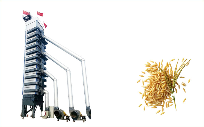 paddy dryer machine