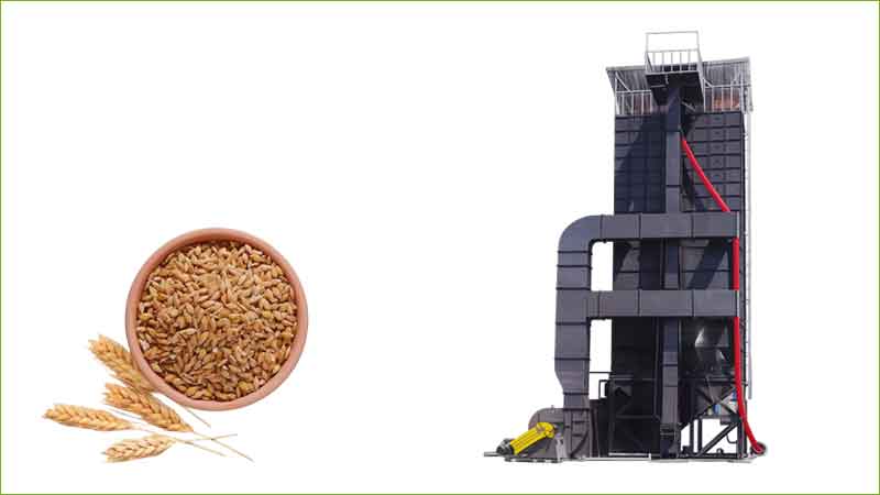 wheat dryer machine