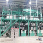 wheat flour processing plant
