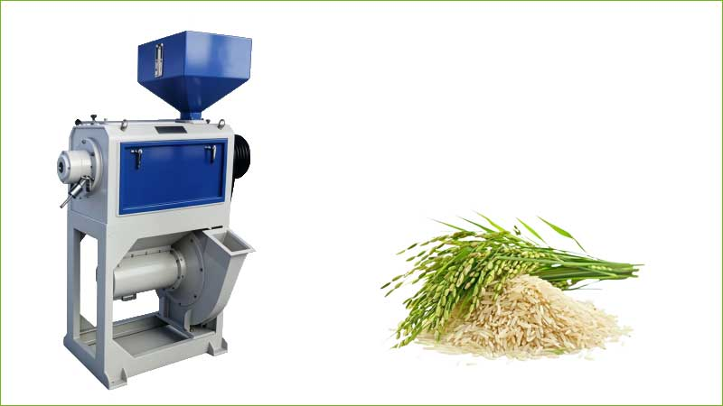 mini rice milling machine